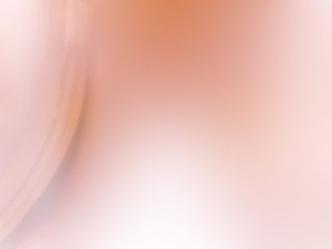 从粗放到精细：随机森林的管理升级