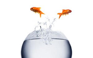 最终一致性